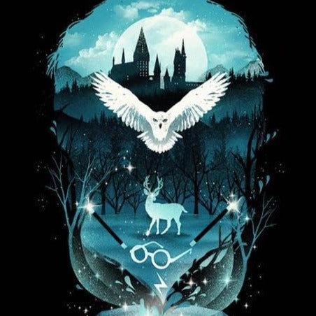 Harry Potter nyomtatott vászon poszter